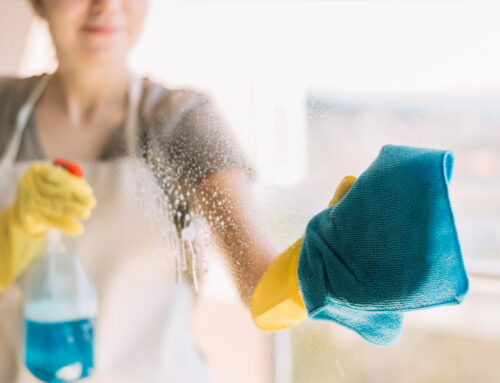 How Florida Humidity Affects Home Cleaning | Palm Beach County