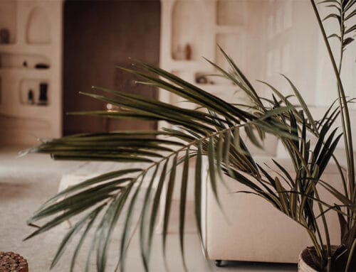 How Much Does House Cleaning Cost in Boca Raton? (2026 Guide)