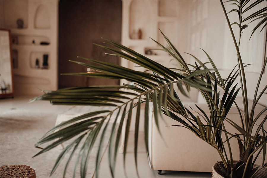 house cleaning cost boca raton fl 2026